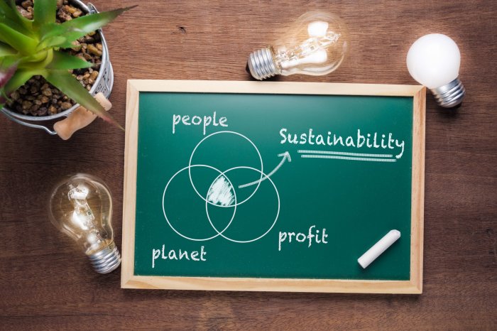 Sustainable investing for socially responsible portfolios